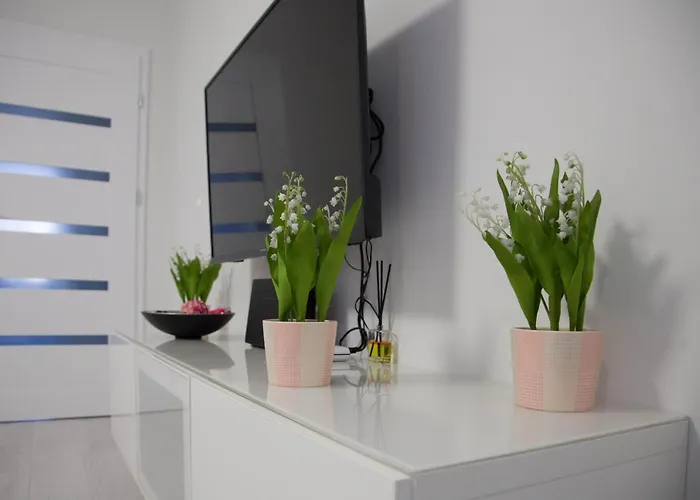 아파트 Borowska *